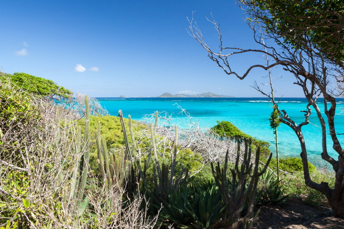 Tobago Cays